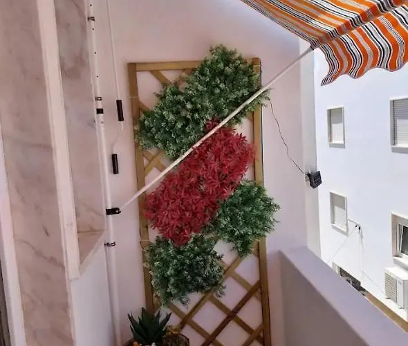 Casa Oliveira Lagos
